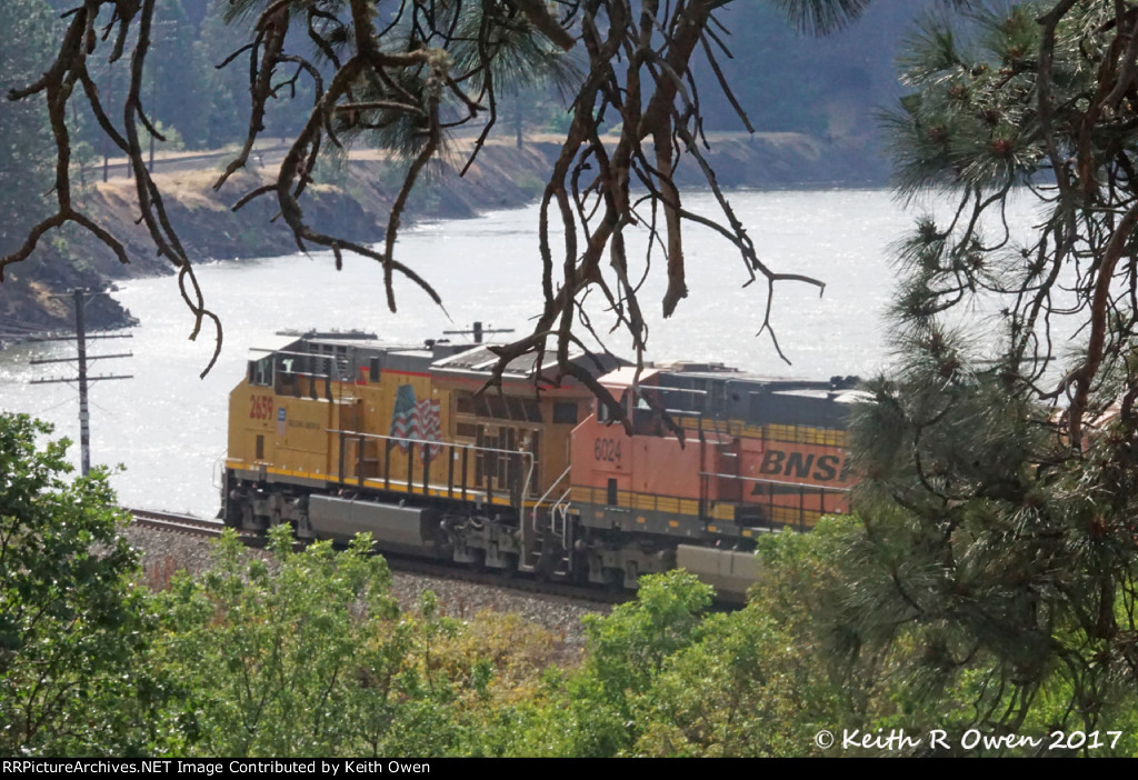 Westbound BNSF Coal